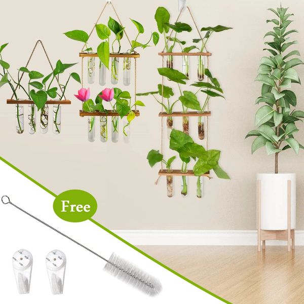 Mur de tube à essai rétro Terrarium plante suspendue avec une propagation de support en bois multicouche