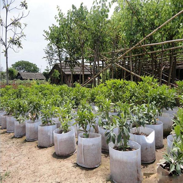 Pots ronds réutilisables en tissu Non tissé pochette pour plantes conteneur de racines sac de culture conteneur d'aération pot de fournitures de jardin