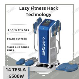 Rivoluzionario EMSzero: macchina modellante elettromagnetica da 14 Tesla per la stimolazione muscolare e la rimozione del grasso