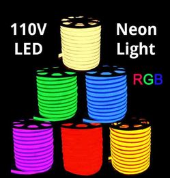 Bande LED en corde néon RGB AC 110V, 50 mètres, étanche pour l'extérieur, lumière SMD 5050 60LEDsM avec alimentation électrique, découpable à 1 mètre 4973135