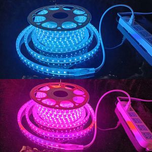RGB LED Light Strip 50m 100m IP65 Waterdicht Flexibel 110V 220V 5050 Lint Strip Verlichting met Afstandsbediening