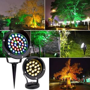 RGB LED Spot Outdoor Fairy Garden Light Landschap 12V Waterdichte schijnwerpers 6W voor Yard Lawn Decoratieve lamp AC220V