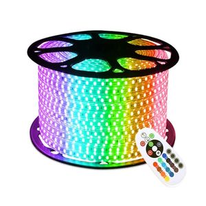 Bande lumineuse LED RGB 220/110v, haute tension, colorée, étanche, 60 diodes/m, 5050, pour lampe de jardin avec contrôleur