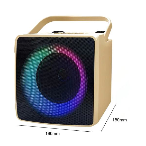 RGB Light Home Karaoke 10W Bluetooth Compatible Portable Karaoke Speaker Hifi Kids Karaoke Micrófono para fiesta de cumpleaños