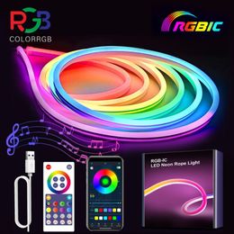 RGBIC LED Neon Sign Strip Light avec télécommande Bluetooth APP avec Music Sync Smart 16 millions de couleurs DIY Fonctionne avec Alexa Google Assistant