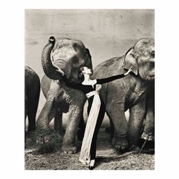 Richard Avedon Dovima avec éléphants robe de soirée affiche peinture décor à la maison encadré ou non encadré Poppaper Material198d