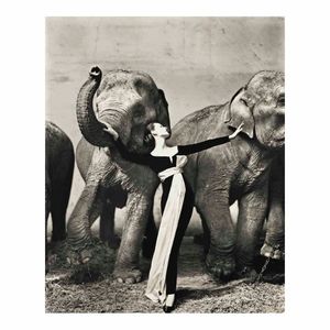Richard Avedon Dovima avec des éléphants robe de soirée Affiche Peinture à la maison décor