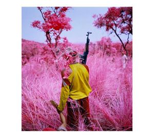 Richard Mosse Pography schilderij met dank aan de kunstenaar en Jack Shainman Poster Print Home Decor ingelijst of ingelijst Popaper 1572229