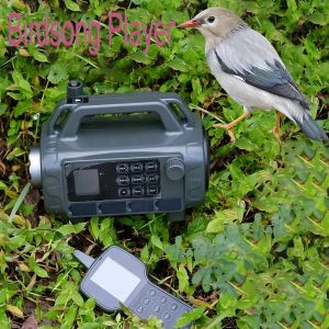 Anneaux Dispositif électronique extérieur de leurre d'animal avec lumière verte intégrée 400 appelant sonore d'oiseau lecteur Mp3 dispositif de chant d'oiseau télécommandé