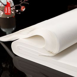 Rijpe xuan papier Chinees schilderen uit de vrije hand tekening rijstpapier Chinese kalligrafie borstel pen schrijven oefening papier papel arroz