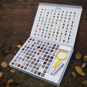 Rock Mineral Kit Gemstone Collection Kids Gemstone Crystal Kit for Holiday Gifts 230609