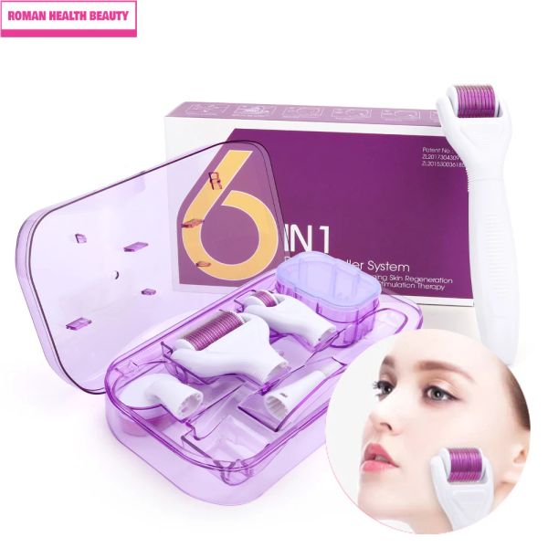 Rouleau 6 en 1 kit de rouleau Derma Miconeedle pour le corps des yeux du visage 300/720/1200 Système de roulement Micro-Lys Tool de soins de beauté à rouleaux pour le visage