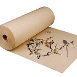 Rolling Mica Ripe Xuan Paper Tekening Papier Chinese vrije hand Xuan Paper kalligrafie schilderen Practice Raw half-rijpe riJstpapier