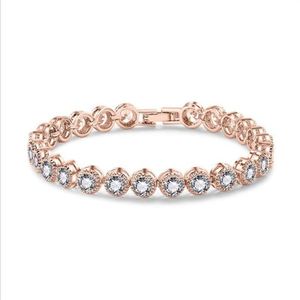 Bracelet Roma Clsssical Bijoux De Luxe 18K WhiteRose Or Rempli Rond Coupe CZ Cristal Diamant Promesse Cool Femmes Bracelet Pour Lov251E