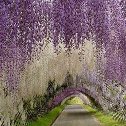 Fleurs artificielles romantiques Simulation Wisteria vigne décorations de mariage longue courte soie plante Bouquet chambre bureau jardin mariée A215d