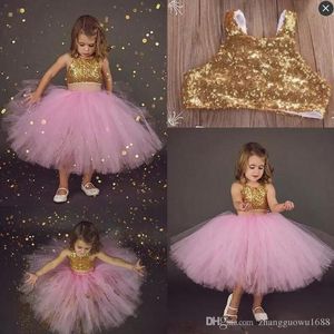 Romantische Champagne Puffy Lace Flower Girl Dress for Weddings Organza Ball Town Girl Party Communion Jurk Pageant Town