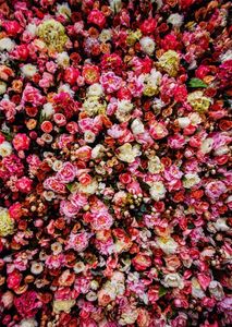 Romantische bloem muur achtergrond bruiloft roze rode pioenrozen digitale gedrukte bloemen fotogo achtergronden voor studio