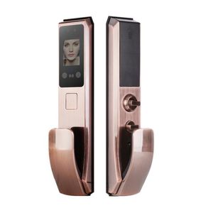 Rongshenda FX70 vingerafdruk gezichtsherkenning deurslot automatische huishoudelijke anti-diefstal wachtwoord borstel + exquise retail doos