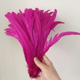 Rooster Tail Feather Rose Red Couleurs DIY Plume Vêtements Bijoux Accessoires / Fournitures de mariage Performance nécessaires