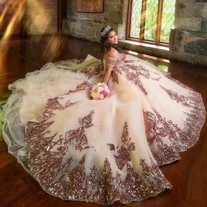 Rose Gold Lace Plus Size Princess Ball Robes Quinceanera Robes Robe De 15 Anos Appliques Perles Sweet 16 Robe Mascarade Bal