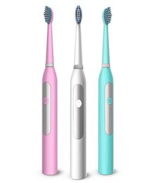 Brosse à dents électrique en rotation non rechargeable avec 2 têtes de brosse Batterie brosse à dents Brosse Brosse de dents hygiène de la batterie 8340041