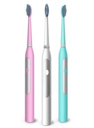 Brosse à dents électrique en rotation non rechargeable avec 2 têtes de brosse Batterie brosse à dents Brosse brosse à dents hygiéniques 9701976