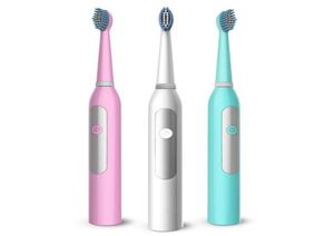 Brosse à dents électrique en rotation non rechargeable avec 2 têtes de brosse Batterie brosse à dents Brosse brosse à dents hygiéniques 9219050