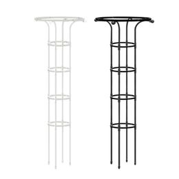 Round Plant Support Stake Stake Garden Trellis Vine klimrant Rek Plantondersteuning PLANT KLIMBRAMBRAME FRAME PLANTVERZORGTOREN VOOR PLANTEN