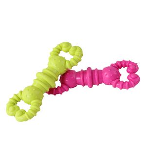 Jouets en caoutchouc de jouets de mastication de chien de compagnie pour de petites couleurs moyennes de Muliti de chiens