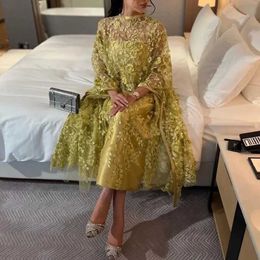 Robes de piste arabie saoudite robe de soirée de bal formelle A-line cou rond manche à manches longues robe de fête pour femmes invité 2024 Nouveau