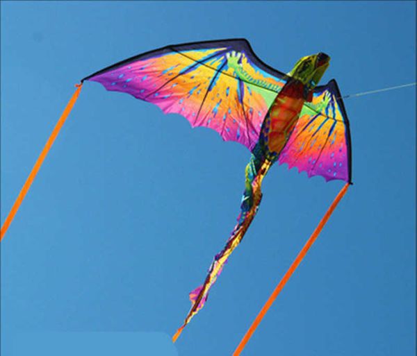 S 3D ptérosaure caméléon Animal dinosaure longue queue cerf-volant à ligne unique Sports de plein air Surf outils de vol cadeaux pour enfants 0110