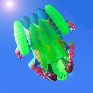 S nouvelle grande grenouille 3D, table automatique douce, Animal insecte enfant cerf-volant Sport de plein air, outil de vol facile à voler 0110