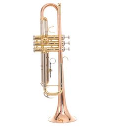 SADSN STR-500L Bb Tune Trompet Fosfor Koper Ross Goud B Platte Trompet Instrument met Mondstuk Case