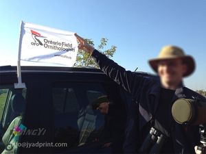 Drapeau de voiture vente Clip personnalisé imprimé sur tous les drapeaux de fenêtre de véhicule voiture 12 