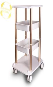 Chariot de meubles de Salon, chariot roulant sur pied de style Spa, deux étagères en aluminium Abs, Stock américain dans le centre de beauté 5368783