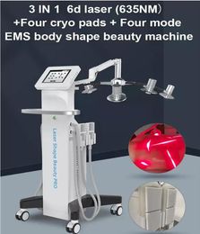 Salon Gebruik 6D Lipo Laser Slanking Fat Freezing EMS Body Shaping Machine 3 In 1 Cryolipolysis Fat Reduction System Huid Trapl