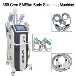 Utilisation en salon Poignée HIEMT Shaping Vest Line Entraînement musculaire Cryo Facial Lifting Fat Dissolve 2 IN 1 Slimming Machine CE Approve