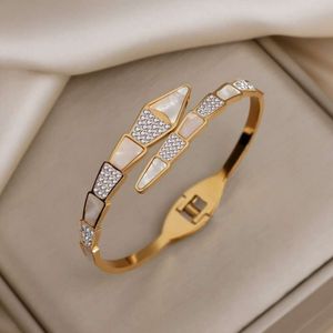 Mode Shell Snake Bone Fashion avec un bracelet en acier en titane d'ouverture pour les bijoux personnalisés de style cool à tempérament pour femmes