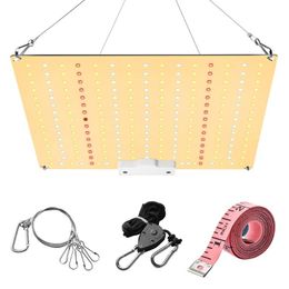 Grow Lights LM281B + Diodes Rustig Fanless Full Spectrum 600W LED Light High PPFD voor 2x3ft tent zaailing, groenten