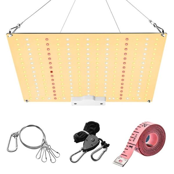 Luces de cultivo LM281b + Diodos Silenciosos Sin ventilador Espectro completo 600W Luz LED Alto PPFD Para plántulas de carpa de 2x3FT, verduras y flores