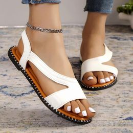 Sandalen 2024 Mode Schoenen Voor Vrouwen Basic Dames Zomer Outdoor Casual Slip Op Platte Dames Zapatos Mujer