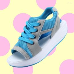 Sandales 2024 Femmes 6883 Sports Peep Toe à lacets Fouilles de coin féminin Femelle Sumoue Casual Chaussures Femme Sneakers
