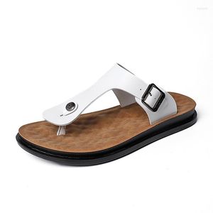 Sandalen Alcubieree heren slippers zomers binnenglippers comfortabele mannelijke huizenweat-absorbant string niet sliphuisglaasjes