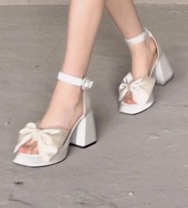 Sandalen Clear Heels Open Toe Dames comfortabele platform Sandaalschoenen Pakken Vrouw Beige Mary Jane 2023 Zomerriem Peep Clogs Bow Nieuw G