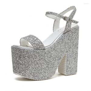 Sandalen Glitter High Block Heel Platform 16 cm hakken Wedge Sandaal Peep Toe sexy pailletten schoenen zilveren goud zwart maat 42