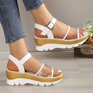 Sandales Transparent Pvc Compensées Femmes 2023 Été Décontracté Cheville Boucle Gladiateur Femme Grande Taille Plate-Forme Sandalias Mujer