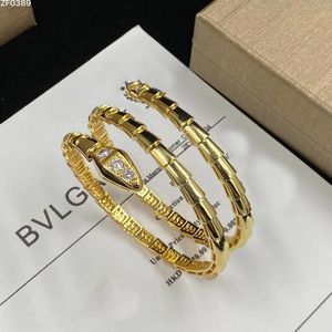Sanke Designer Bracelet Brangle Bijoux Femme Rose Gold Sier plaqué Diamond Cuff Bracelets Bijoux Designers Girl Lady Man Man Paty Gift Holiday