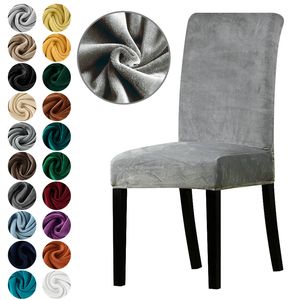 Sashes 12 stuks Real Velvet Fabric Super Soft Chair Cover Luxe Office Seat Cases tretch Covers voor eetkamer EL 230822