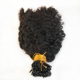 Sassy Curly I Tip Extensions Hair Extensions 100 mèches brésiliennes Remy Curly I Conseils de clou dans les cheveux 8-30 pouces microliens pour les femmes