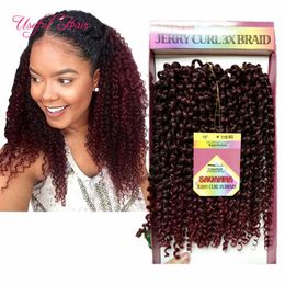Savana Crochet Curly Hair Extensions 3pcs Pack Kinky Curly Tress ombre Bug Jerry Curly Style 10inch Synthetic Braiding 278L